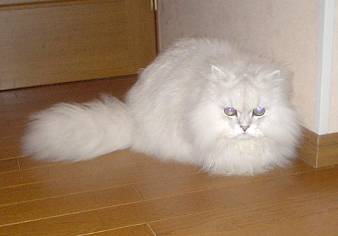 DSC00497.jpg (35611 �o�C�g)