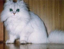 pel1 (11860 �o�C�g)