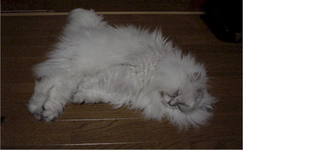 pel7-2.jpg (33894 �o�C�g)