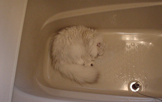 pel7-3.jpg (55620 �o�C�g)