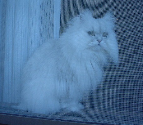 pel7-6.jpg (60835 �o�C�g)