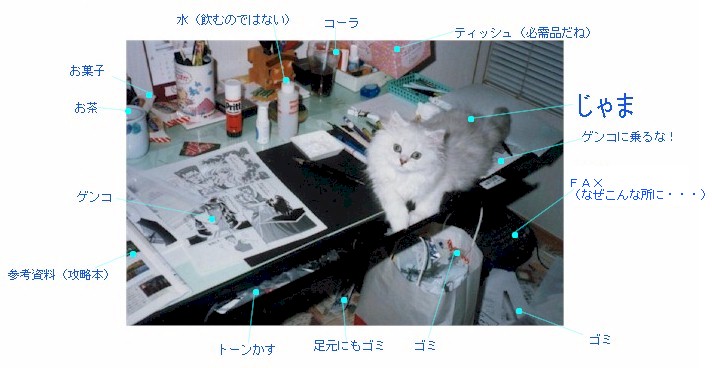 peljama (63331 �o�C�g)