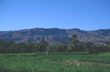 �e�B�l���[���̑�