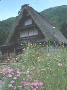 �R�X���X�h���