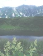 �~�N���K�r