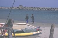 �z������