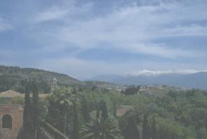 �A���J�T�o���