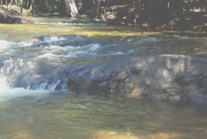 �N�o���E�X�s�G��