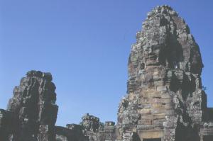 �o�C����