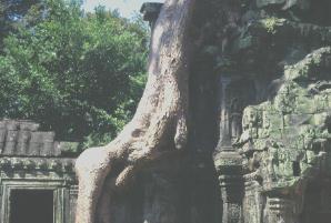 �^�E�v���[��