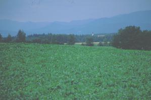 ���E���i