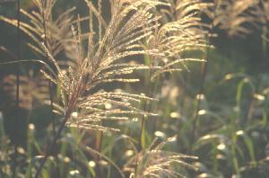 �P��������