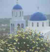 �t�B���̒��O��̋���