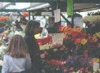 �G���x�L��