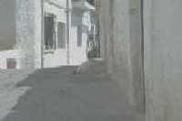 ���[�̃l�R