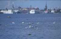 �s���^���猩�����s�X