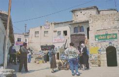 �A�o�m�X�̒�