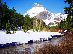 Mt. Wilbur view from the spring Swiftcurrent Creek