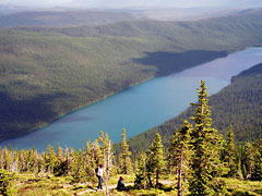 Bowman Lake from Numa Ridge Lookout