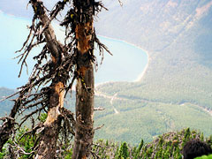 Looking down Lake McDonald from Mt.Brown Lookout (8/21/1999)