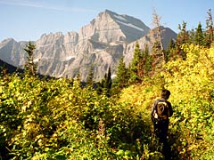Golden Gould! -
	Mt.Gould flows on the Autumn-colored Grinnell Glacier Trail -