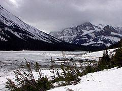 Lake Josephine, the lake surface contaminated by avalanches