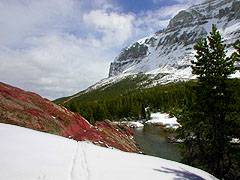 Swiftcurrent Pass Trail in Early Spring