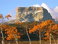 Autumn Colored Chief Mountain