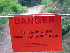 This Trail is closed because of Bear Danger