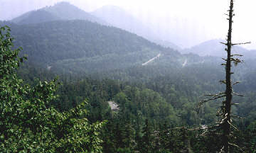 �R�����˂���