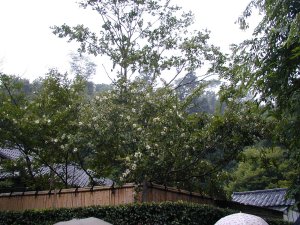 �����@��