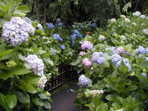 �����@��