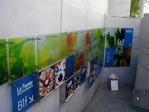 ���E�t�F���e�㊯�R