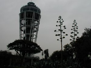 �T���G���E�R�b�L���O��