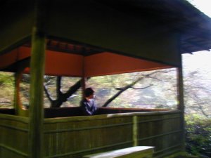 �����܂�