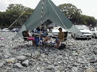 $B%P!<%Y%-%e%&$N?);v(B