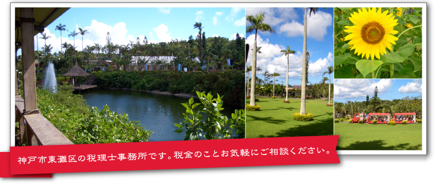 神戸市東灘区の税理士事務所です。税金のことお気軽にご相談ください。