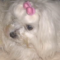 �C�^�Y����C�^�Y��������