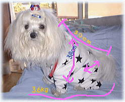 ���x�͐������T�C�Y��