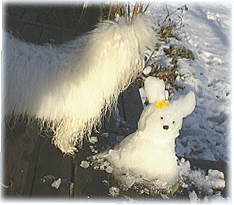 �܂�����̂��Ȃ�