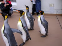 $B$Z$s$.$s$N$*;6Jb(B