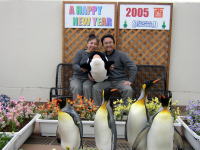 $B%Z%s%.%s$H5-G0;#1F(B