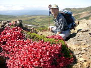 ���x�R���߂��̃C���E��