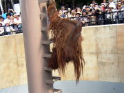 �I�����E�[�^���~����