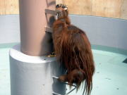 �I�����E�[�^������f����