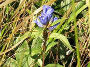 �G�]�����h�E