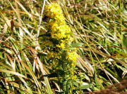 �A�L�m�L�����\�E�H