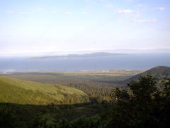 ���K�x�܍��ڂ���̗當��