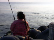 ���ނ肽�ʂ�