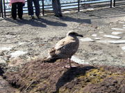 ��@�u������